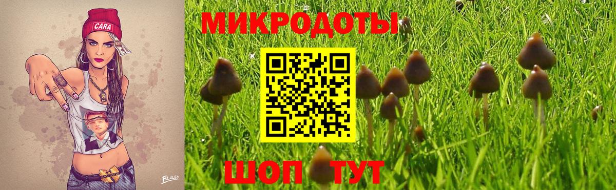 Галлюциногенные грибы мицелий  хочу   Иркутск  Вход с VPN 