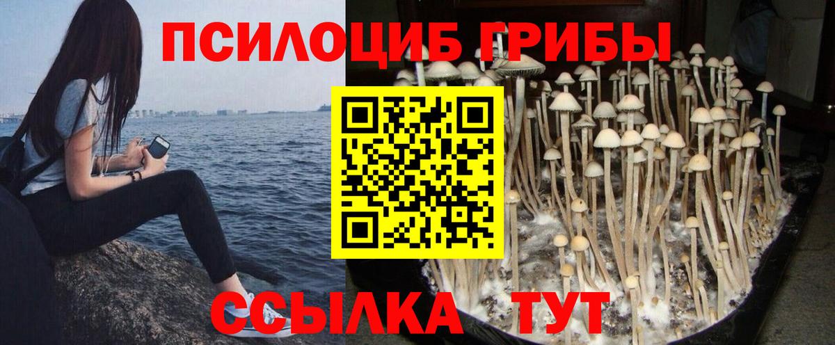 Псилоцибиновые грибы прущие грибы Иркутск